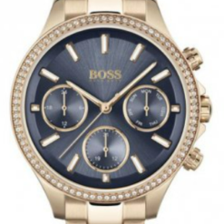 Hugo Boss HB1502566